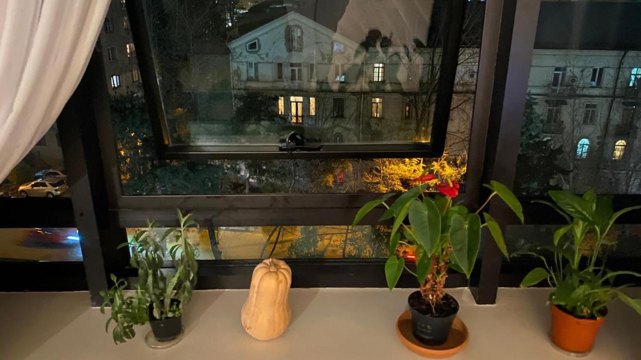In “green Budapest “ *